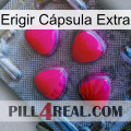 Erigir Cápsula Extra 13